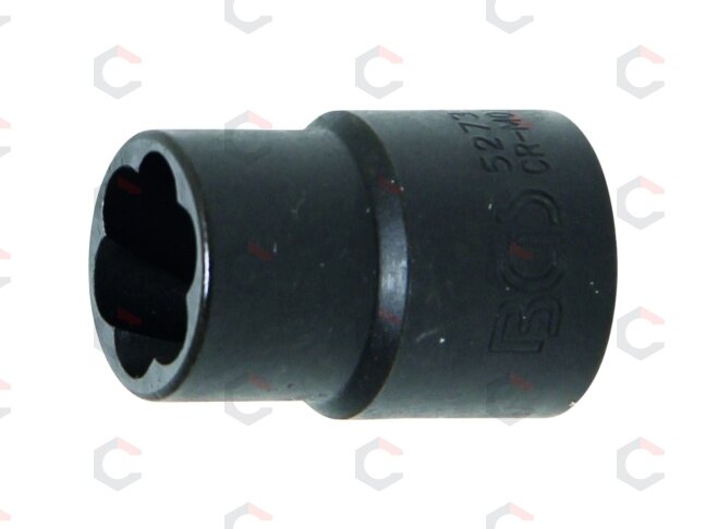 Specialus galvučių rinkinys / sraigtiniai ištraukikliai | 10 mm (3/8") | 10 - 19 mm | 10 vnt. (5265) 6 Specialus galvučių rinkinys / sraigtiniai ištraukikliai | 10 mm (3/8") | 10 - 19 mm | 10 vnt. (5265) 6
