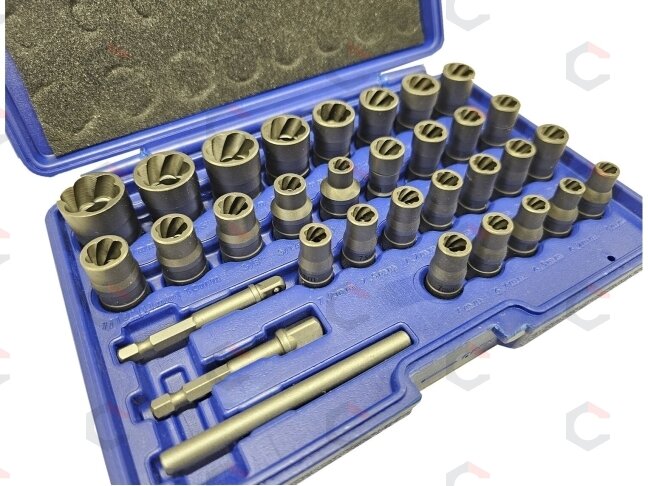 Specialus galvučių rinkinys / sraigtiniai ištraukikliai | 6.3 mm (1/4") / 10 mm (3/8") | 32 vnt. (SK201619) 1