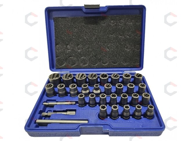 Specialus galvučių rinkinys / sraigtiniai ištraukikliai | 6.3 mm (1/4") / 10 mm (3/8") | 32 vnt. (SK201619) 2
