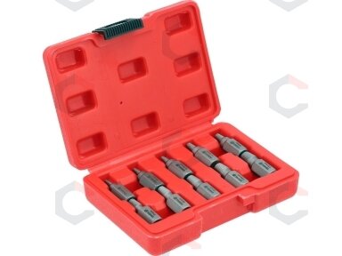 Sraigtiniai ištraukikliai | sugadintiems Hex/Torx/Spline | 3–11 mm | 10 vnt. (24007)