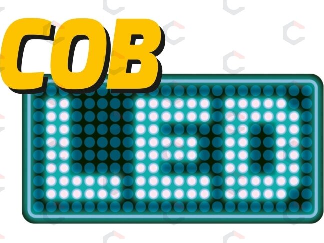 Šviesos diodų prožektorius | 10W COB LED | 680 lm (YT-81821) 3