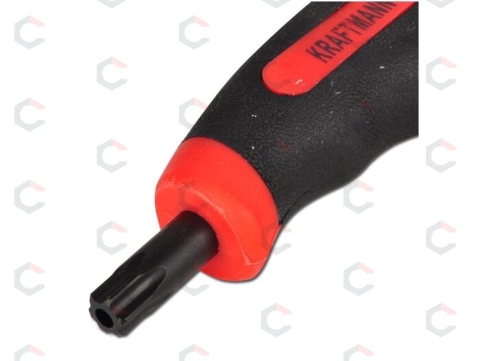 T-rankenėlių atsuktuvų rinkinys | T-Star su skyle (Torx) | T10-T50 | 9 vnt. (7880) 5 T-rankenėlių atsuktuvų rinkinys | T-Star su skyle (Torx) | T10-T50 | 9 vnt. (7880) 5