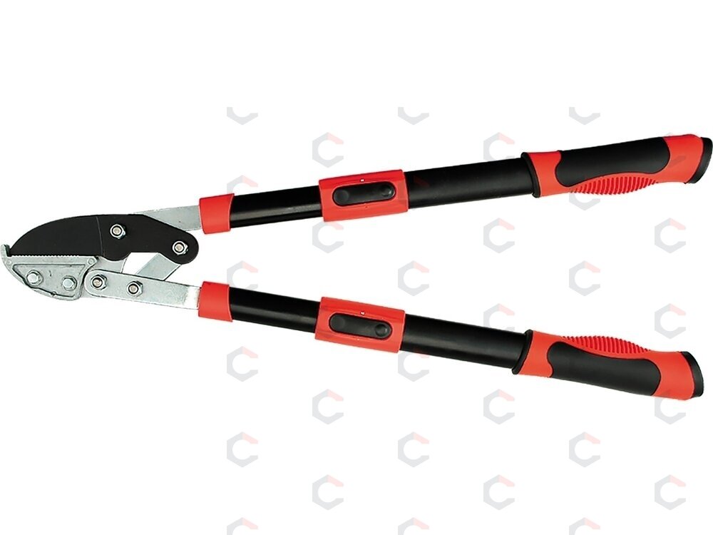 Teleskopinis sodo sekatorius | iki 41 mm | 660–910 mm (YT-8842) 2 Teleskopinis sodo sekatorius | iki 41 mm | 660–910 mm (YT-8842) 2