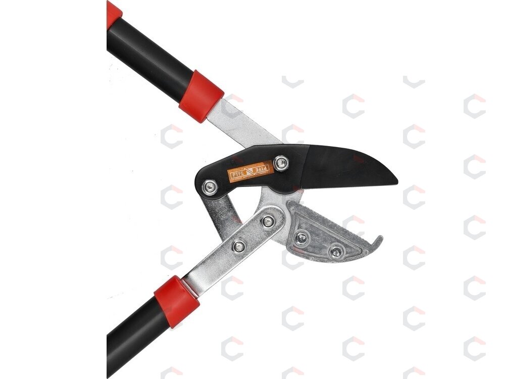Teleskopinis sodo sekatorius | iki 41 mm | 660–910 mm (YT-8842) 4 Teleskopinis sodo sekatorius | iki 41 mm | 660–910 mm (YT-8842) 4