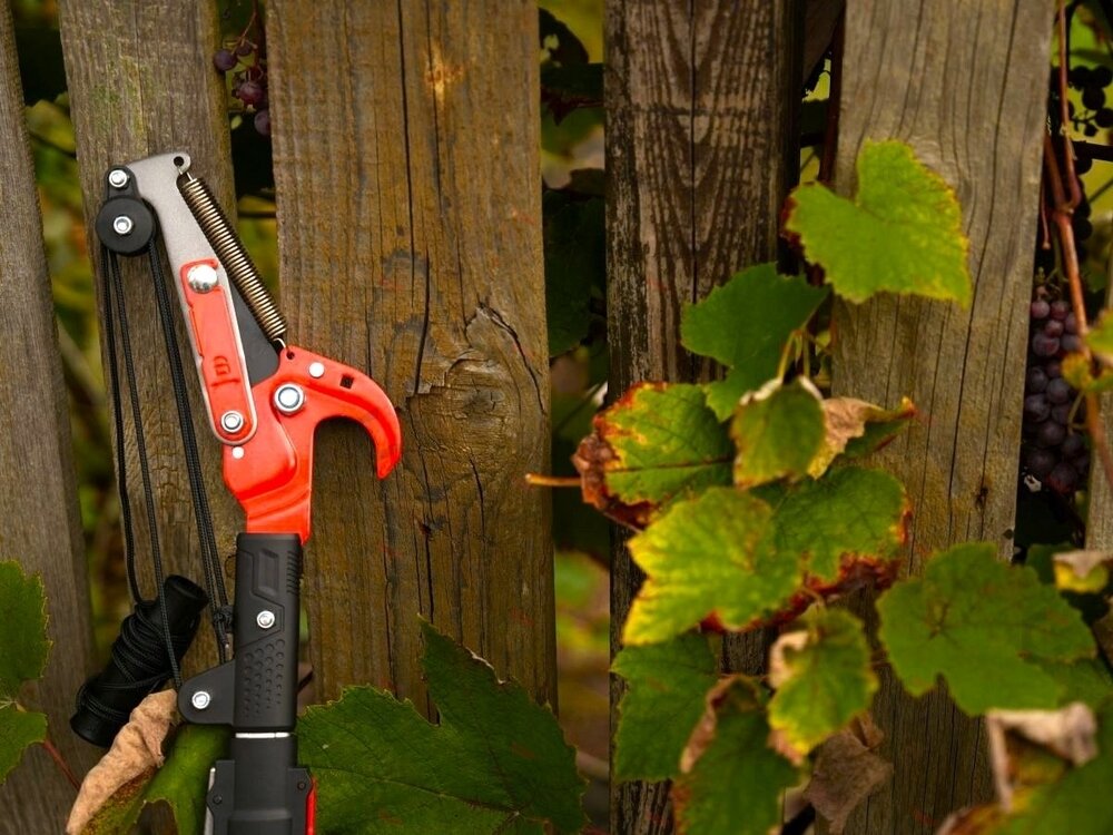Teleskopinis šakų genėtuvas su svirtiniu mechanizmu 1,8 m (YT-88770) 8 Teleskopinis šakų genėtuvas su svirtiniu mechanizmu 1,8 m (YT-88770) 8