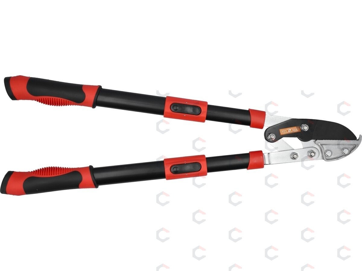 Teleskopinis sodo sekatorius | iki 41 mm | 660–910 mm (YT-8842) 3 Teleskopinis sodo sekatorius | iki 41 mm | 660–910 mm (YT-8842) 3