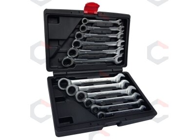 Terkšlinių raktų rinkinys | plast. dėžutė | 8-19 mm | 12 vnt. (SK5010)