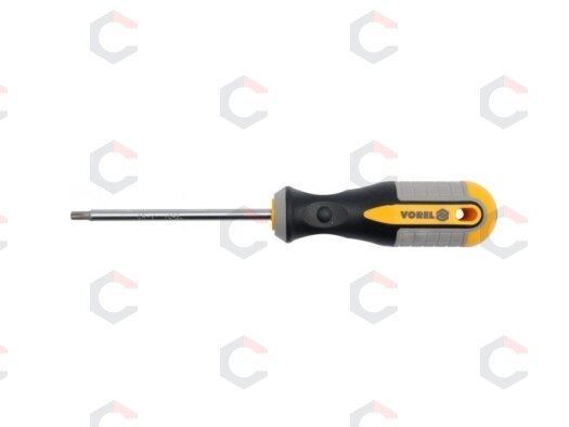 TORX Atsuktuvas T40x100 mm CRV (60891) TORX Atsuktuvas T40x100 mm CRV (60891)