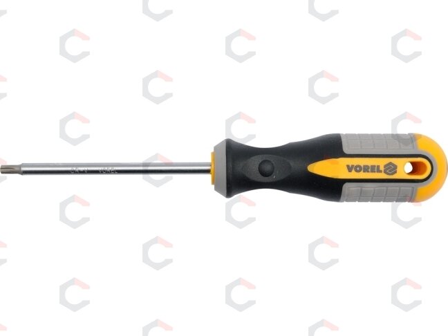 TORX Atsuktuvas T20x100 mm CRV (60887) TORX Atsuktuvas T20x100 mm CRV (60887)