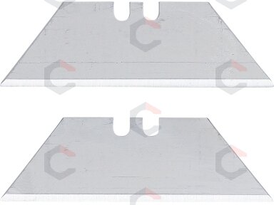 Trapecinių peiliukų rinkinys rinkinys | 0.6 x 19 mm | 5 vnt. (97975)