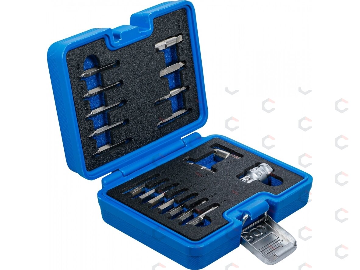 Varžtų ištraukimo rinkinys | vidiniam šešiakampiui 1,5 - 10 mm / T-Star (Torx) | T10 - T55 | 19 vnt. (9173-1) Varžtų ištraukimo rinkinys | vidiniam šešiakampiui 1,5 - 10 mm / T-Star (Torx) | T10 - T55 | 19 vnt. (9173-1)