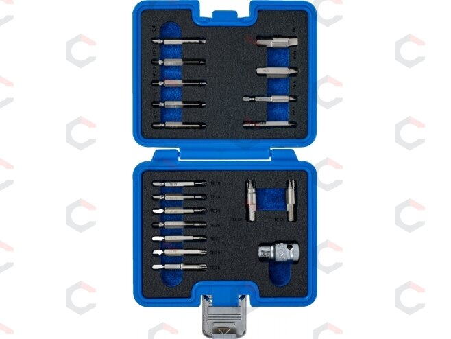 Varžtų ištraukimo rinkinys | vidiniam šešiakampiui 1,5 - 10 mm / T-Star (Torx) | T10 - T55 | 19 vnt. (9173-1) 3 Varžtų ištraukimo rinkinys | vidiniam šešiakampiui 1,5 - 10 mm / T-Star (Torx) | T10 - T55 | 19 vnt. (9173-1) 3