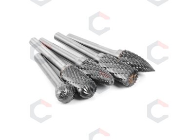 Volframo karbido deimantinių frezų rinkinys | galvutės dydis - 10 mm | 10 vnt. (SK8998) Volframo karbido deimantinių frezų rinkinys | galvutės dydis - 10 mm | 10 vnt. (SK8998)