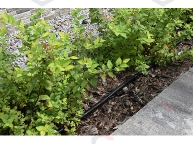 Laistymo žarna augalams ir gyvatvorėms | vandeniui pralaidi | 7,5 m | 16 mm (89370) Laistymo žarna augalams ir gyvatvorėms | vandeniui pralaidi | 7,5 m | 16 mm (89370)